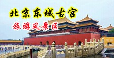 视屏操逼爽歪歪中国北京-东城古宫旅游风景区